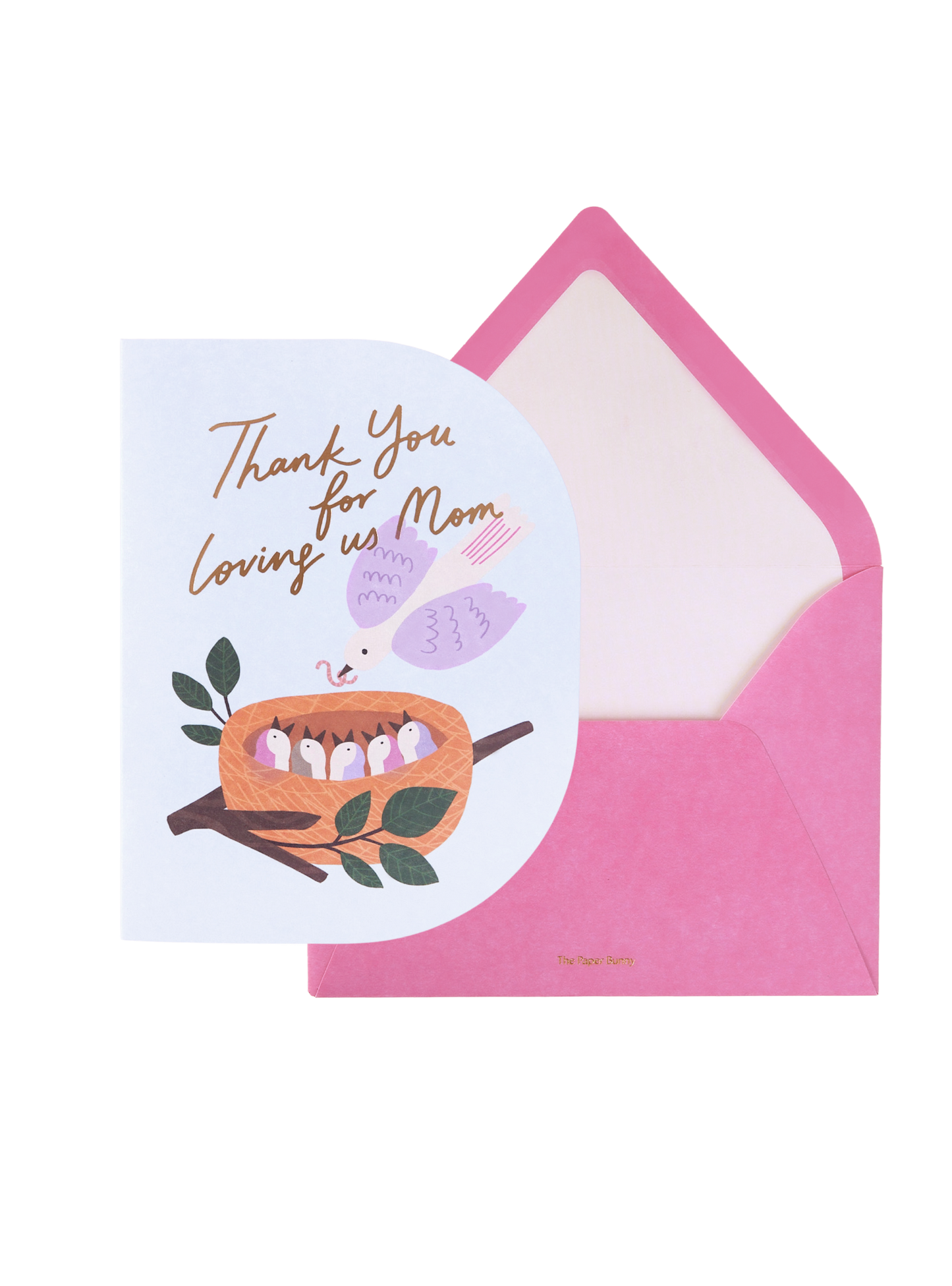 Mama Bird Greeting Card